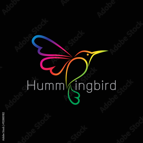 Vector image of an hummingbird design on black background