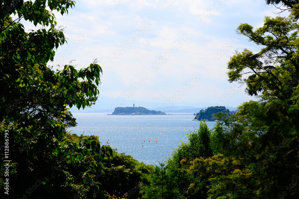 コバルトブルーの海と江の島
逗子の高台から見た江の島が木々の間から覗けて普段見る江の島と違う印象に見えて感激した。