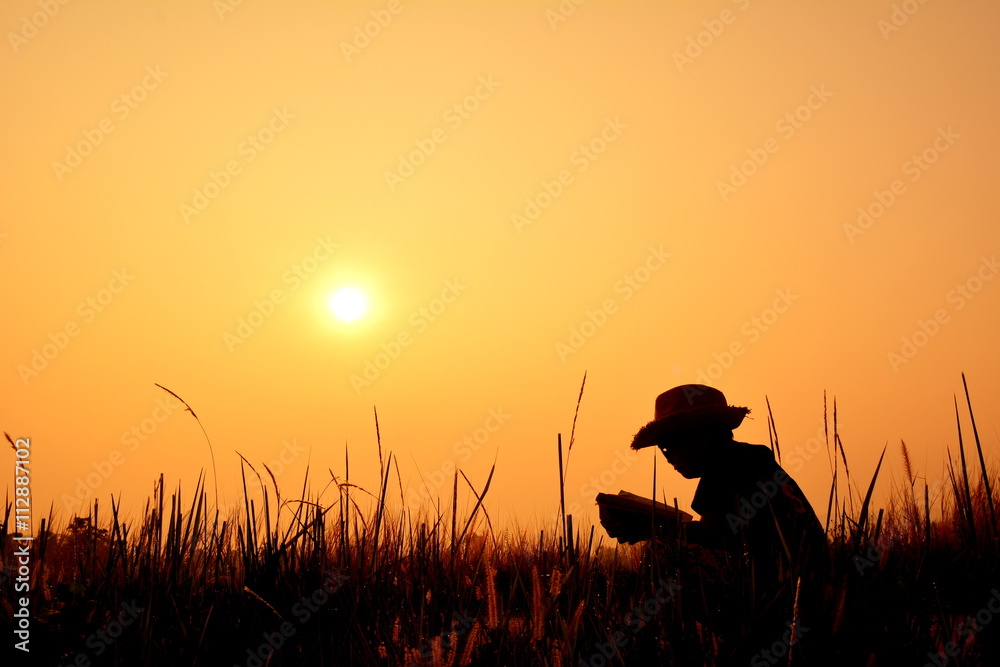 Silhouette a boy reading book at sunrise