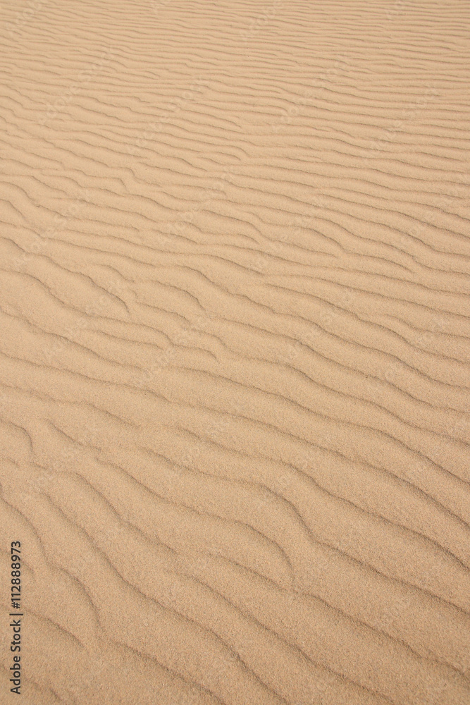 Tottori Sand Dunes in JAPAN (Japan's largest dune, a state's designated natural monument Tottori Sand Dunes in JAPAN (Japan's largest dune, a state's designated natural monument