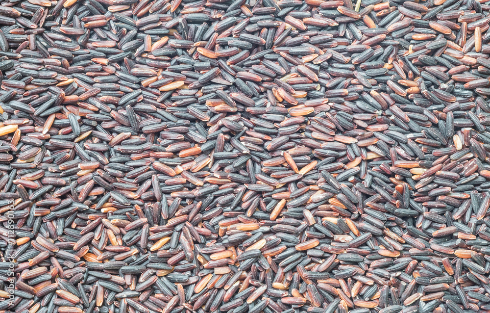 Closeup pile of black rice called riceberry rice , rice with high nutrients textured background