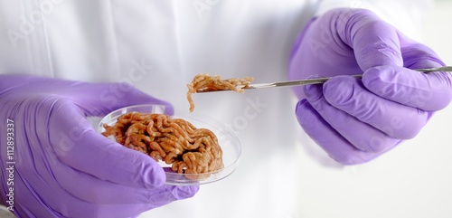 Lebensmittelkontrolle im Labor Hygiene Hackfleisch