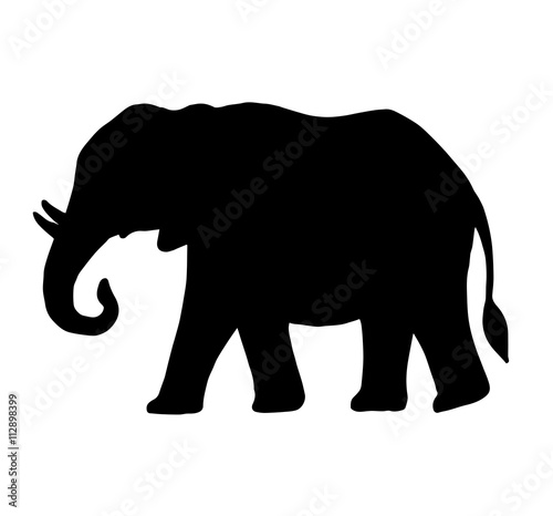 Vector of Abstract Silhouette elephant