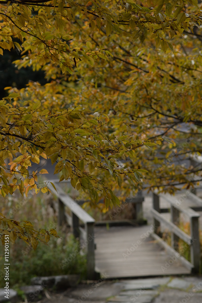 紅葉と木造橋