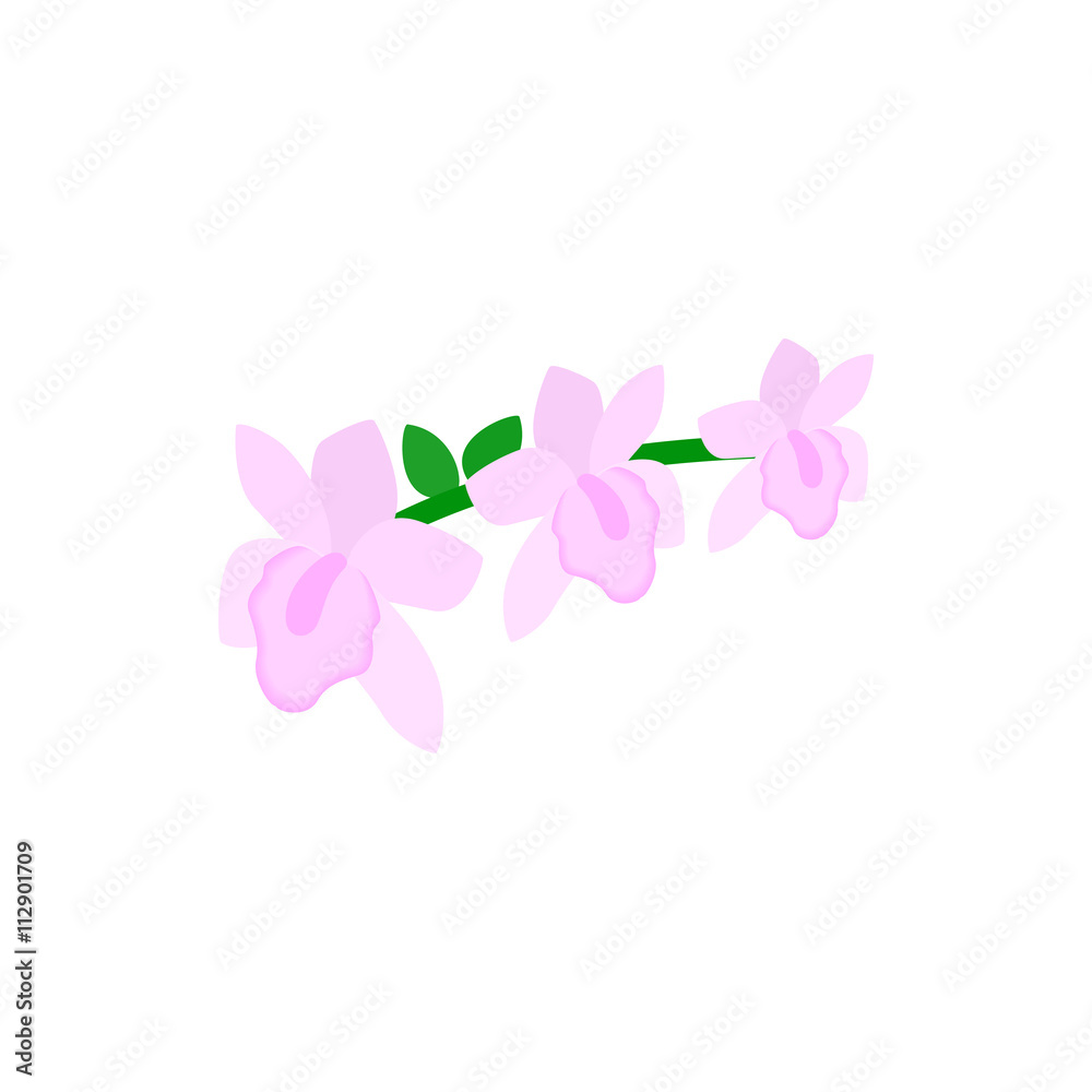 Pink orchid icon, isometric 3d style