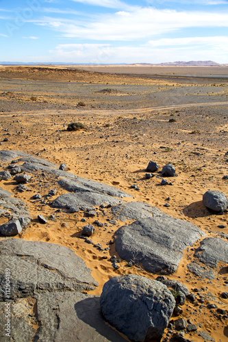  bush old fossil in the desert of rock stone sky