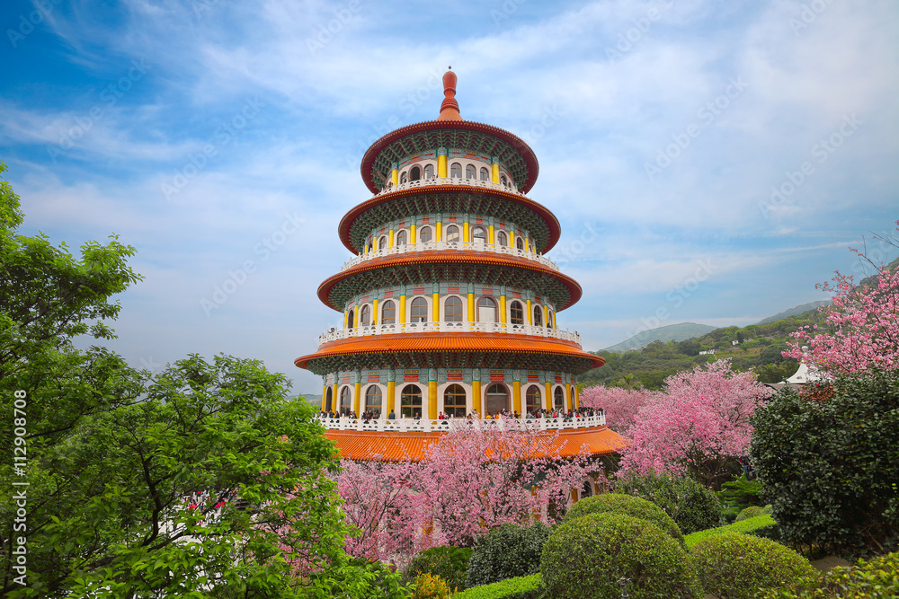 Beautiful Cherry Blossom Garden in Taipei, Taiwan