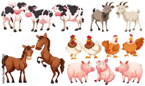 Different animals in the farm