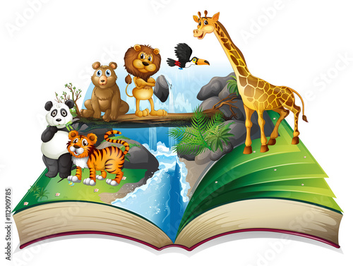 Book of wild animals at waterfall