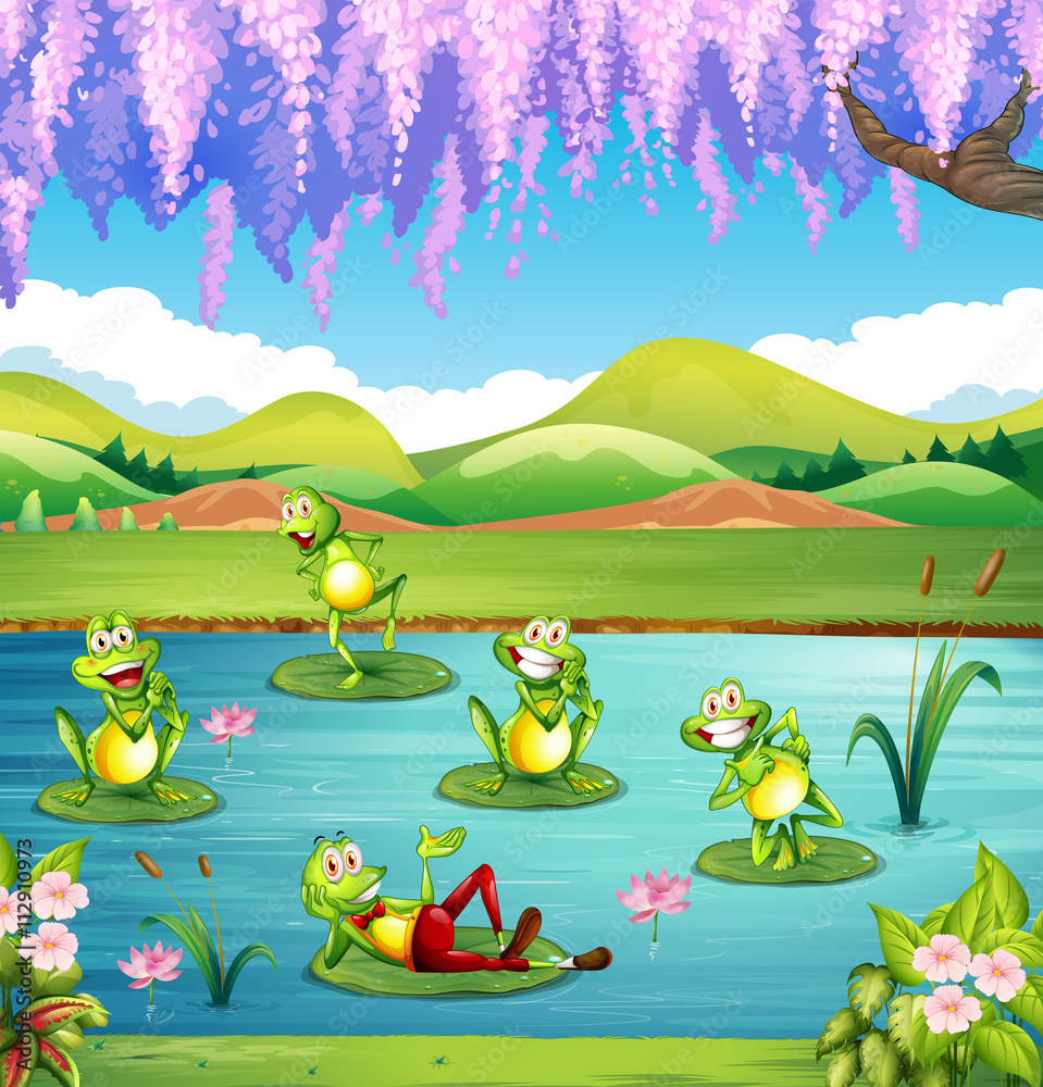 Obraz premium Frogs living in the pond