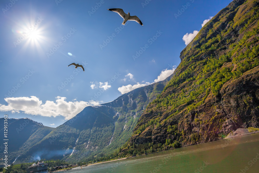 Obraz premium Beautiful fjords near the Flam in Norway