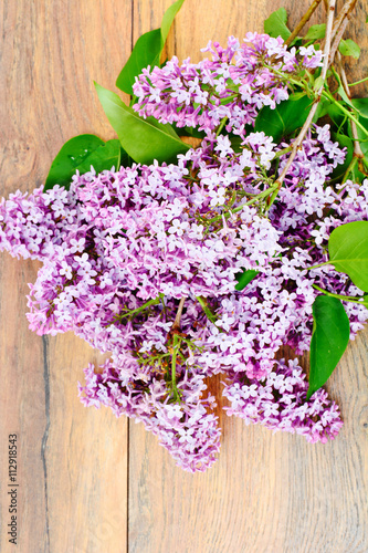 Spring Flowers of Lilac