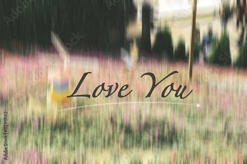 word love you over blurred background image with retro and vintage look.