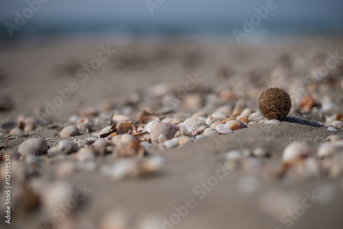 Fototapeta Naklejka Na Ścianę i Meble -  sand