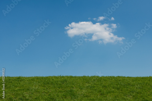 Green grass blue sky natural background with ne cloud