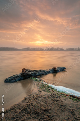 Driftwood with sunrise photo