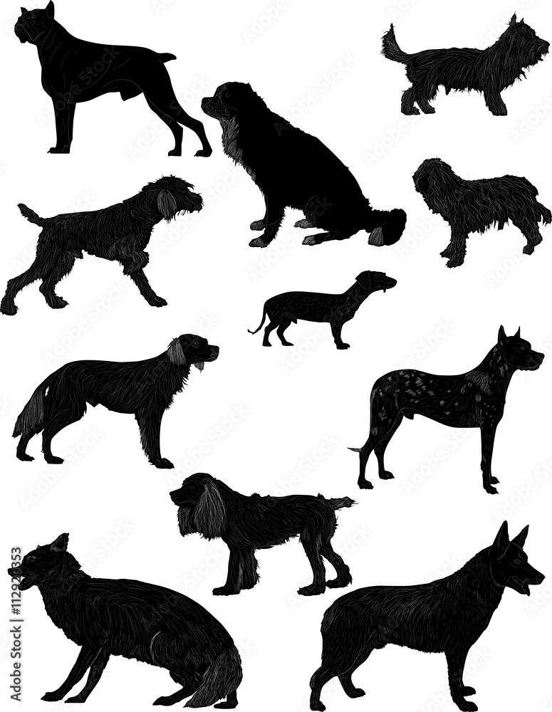 eleven black isolated dogs sketches