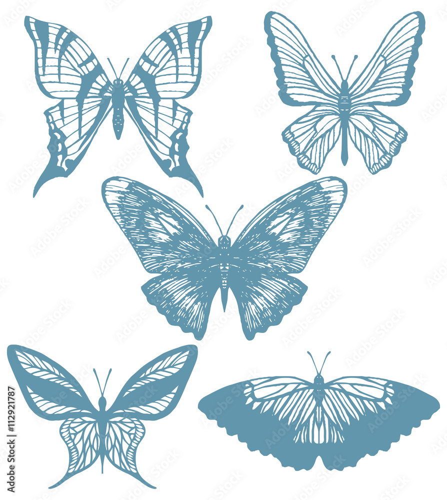 vector set of hand-drawn butterflies vector set of hand-drawn butterflies