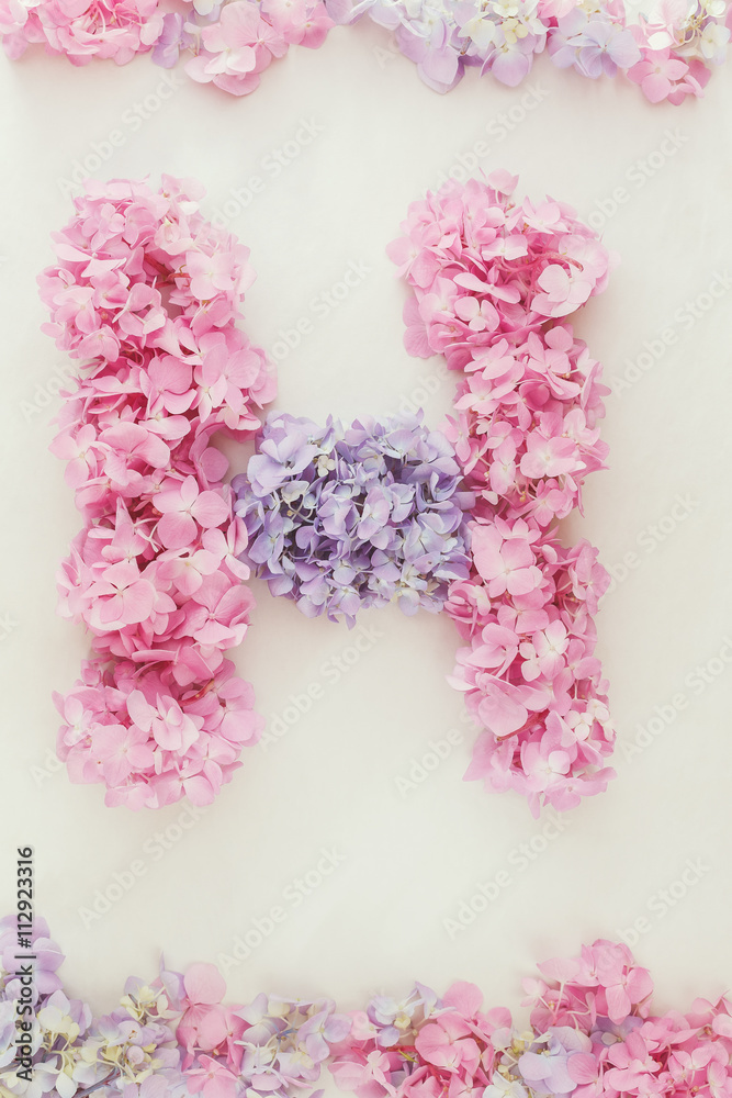 Hydrangea floral background. Flowers arranged into the shape of the letter H on rustic background.