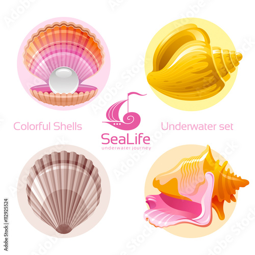 Icon set with tropical colorful shells and logo