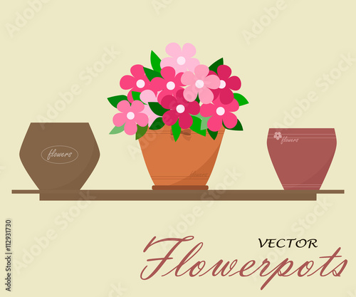 Set of flowerpots