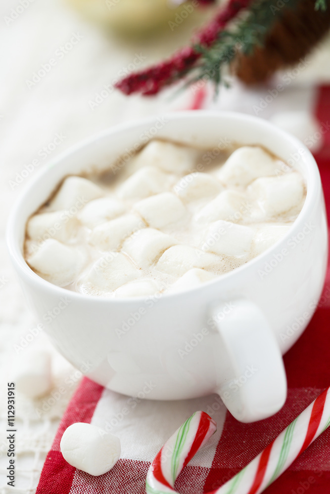 Hot chocolate with marshmallow Hot chocolate with marshmallow