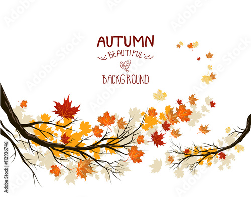 Autumn branches with leaves
