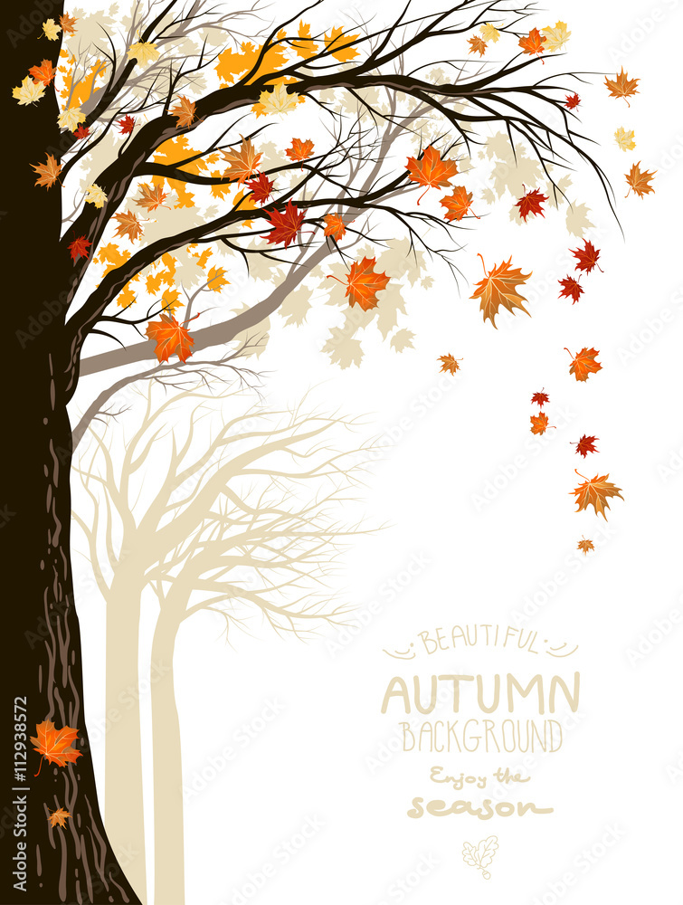 Naklejka premium Fall background