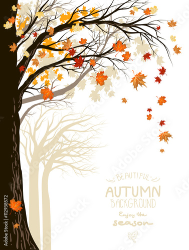 Fall background