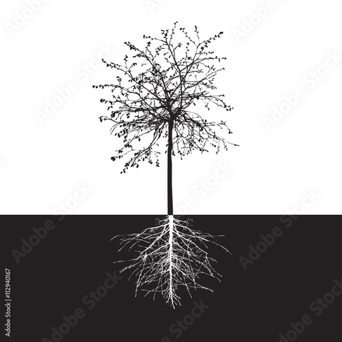 Black Shape of Tree without leaves and Roots. Vector Illustratio