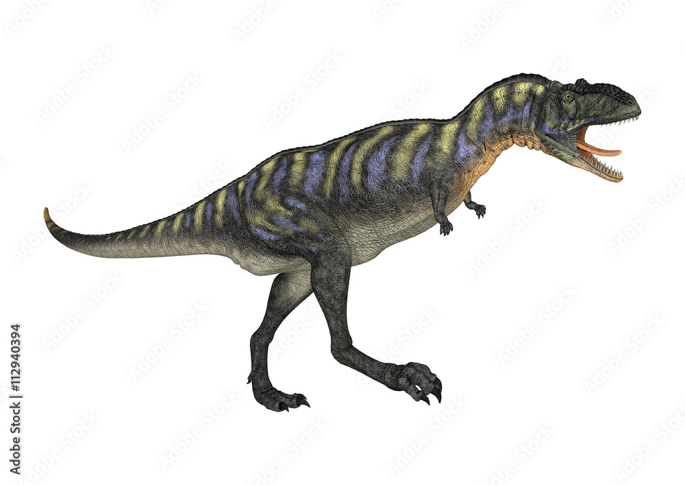 3D Rendering Dinosaur Aucasaurus on White 3D Rendering Dinosaur Aucasaurus on White