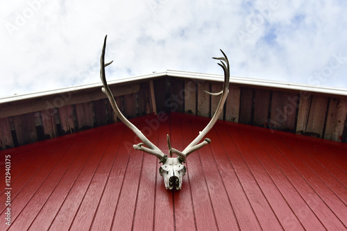 Iceland, deer antler hanging at red facade of frame house photo