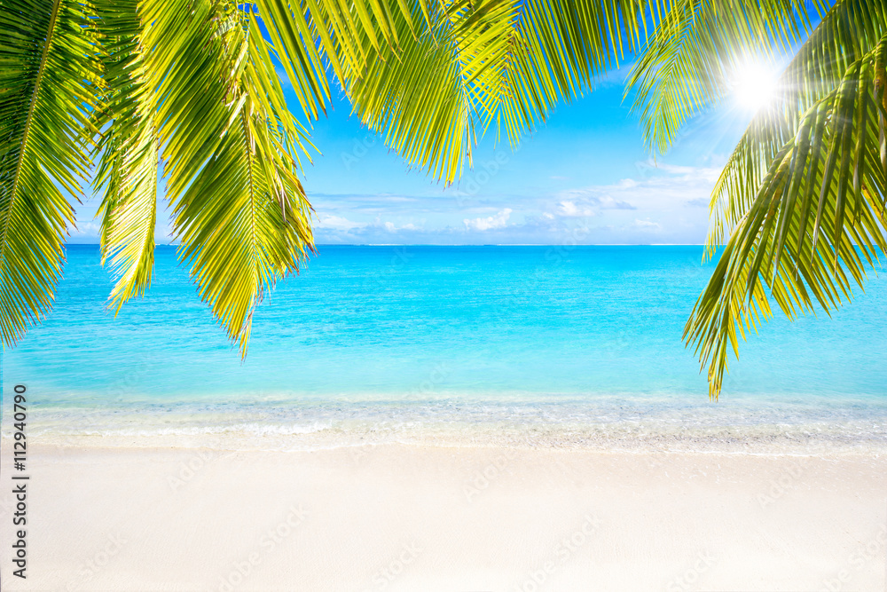 Strand mit Palmen als Hintergrund