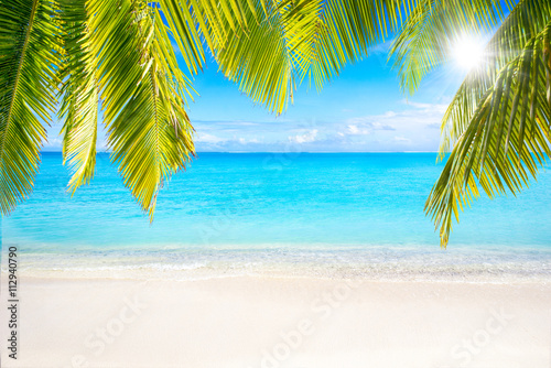 Fototapeta Naklejka Na Ścianę i Meble -  Strand mit Palmen als Hintergrund