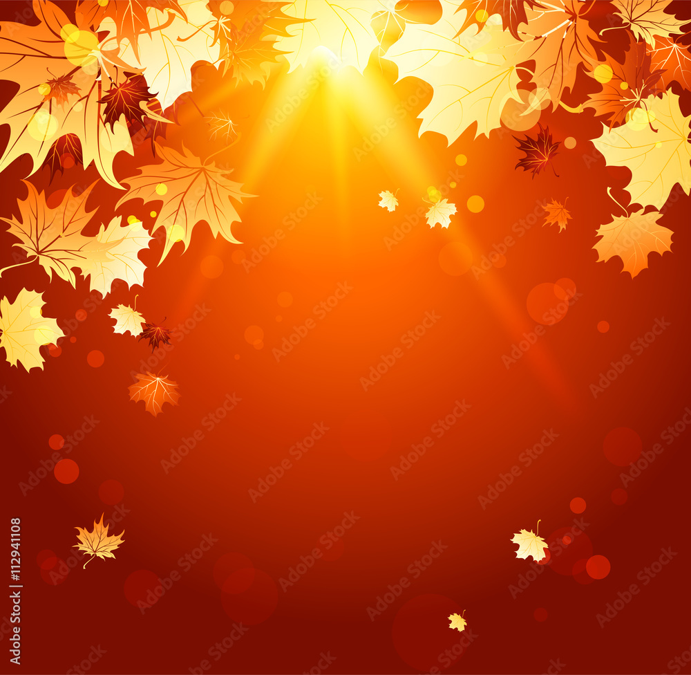 Shining autumn backdrop Shining autumn backdrop