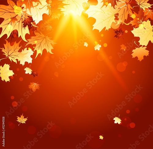 Shining autumn backdrop