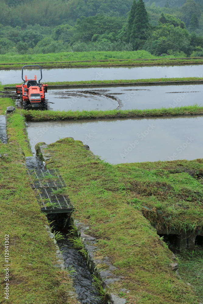 Fototapeta premium 棚田は田植えの準備 宮崎県日南市坂元棚田
