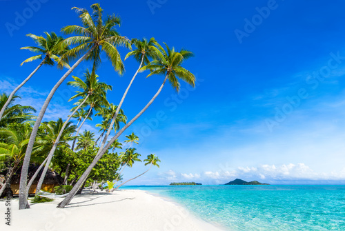Urlaub am Palmenstrand mit Meer photo