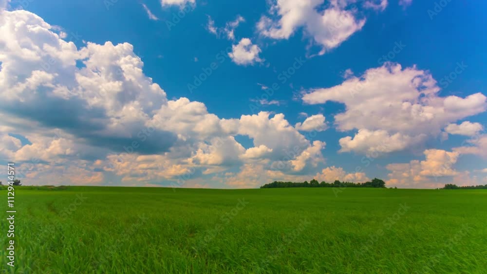 summer landscape, green field, time-lapse summer landscape, green field, time-lapse