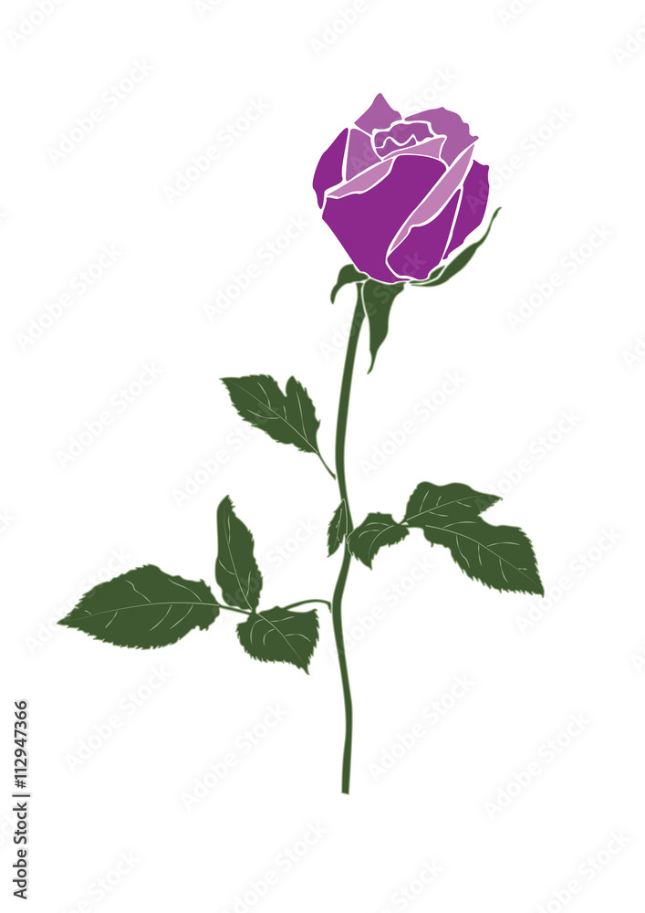 Fototapeta premium Stock Vector Illustration rose icon isolated with white