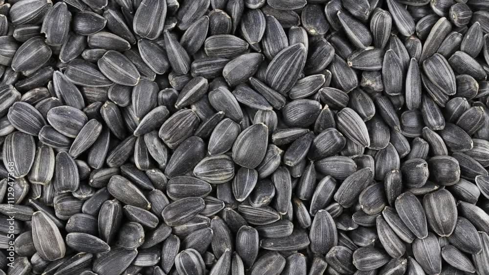 Sunflower seeds seeds close up. Loop rotation. Front of the camera rotates plate with sunflower seeds Sunflower seeds seeds close up. Loop rotation. Front of the camera rotates plate with sunflower seeds