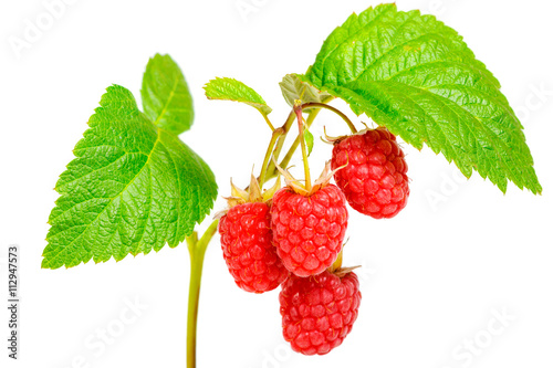 raspberry on white background