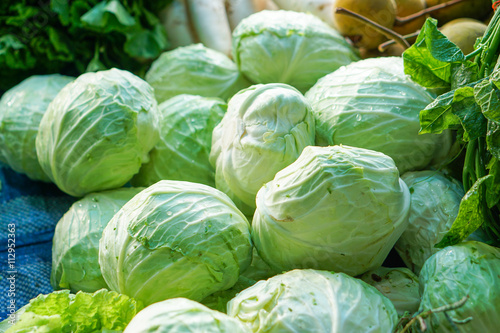 Group of Cabbages