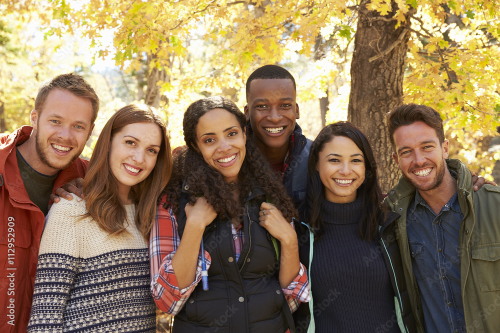 Fototapeta premium Group portrait of six happy friends in a forest setting