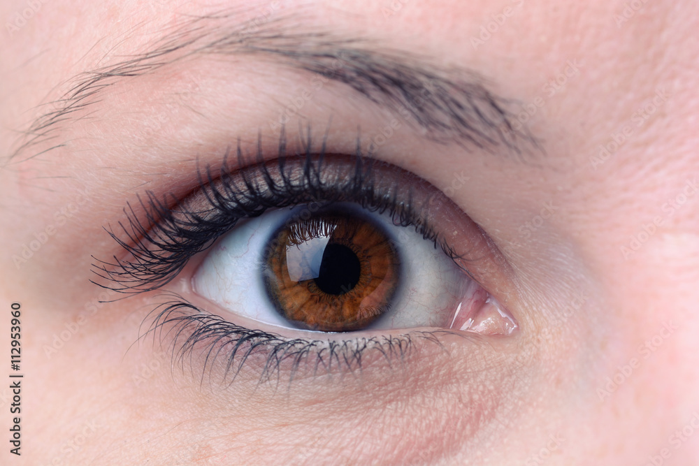 Close up of a brown woman eye Close up of a brown woman eye