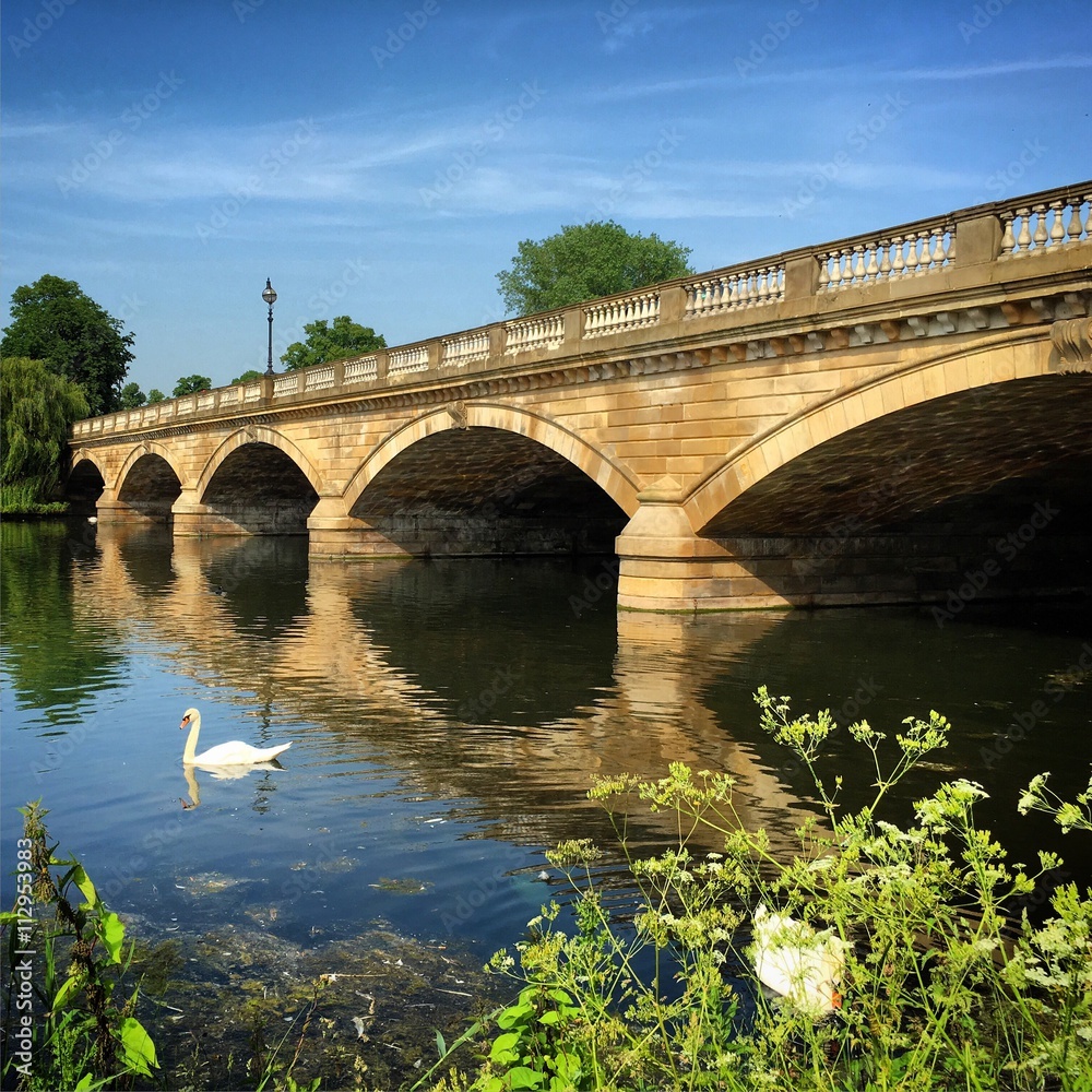 Fototapeta premium The Serpentine Lake in Hyde Park, London