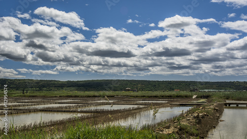 SALT FIELDS