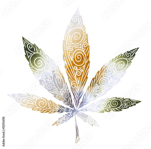 Cannabis leafs vector