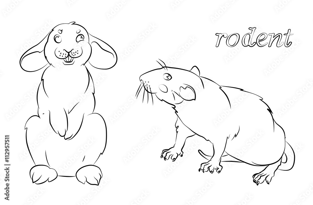 Fototapeta premium black and white image of a rabbit and rat