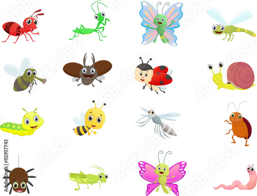 Insect cartoon collection © wisnu_Ds